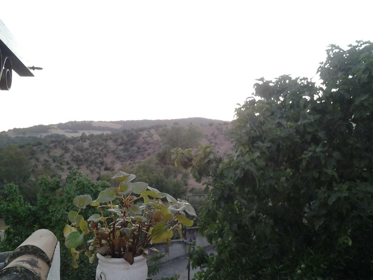 فيلا Casa Maria Luisa البوسكي المظهر الخارجي الصورة